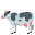cow