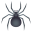 spider