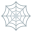 spider web