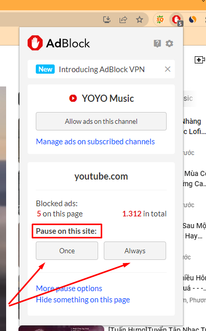 Bật tắt QC trên Youtube