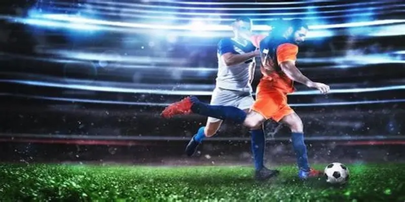 Theo dõi các cửa cược